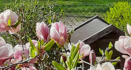 Apartment 'Wolf' mit privater Terrasse, Gemeinschaftsgarten und WLAN