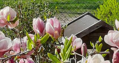 Ferienwohnung 'Wolf' mit privater Terrasse, Gemeinschaftsgarten und WLAN