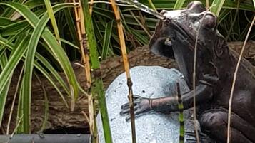 Una estatua de rana sobre una roca rodeada de vegetación.