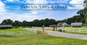 Property grounds - Privet Farm cottage with AC and Deck in charming Salem Connecticut (Salem)