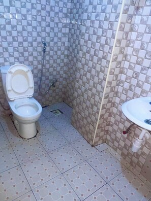 Shower, bidet, towels, soap