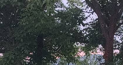 Chambre d'hÎte avec vue sur les vignes. Nouveauté !!!