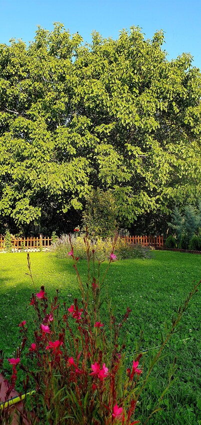 3-bedroom villa in welcoming Cappasocia with AC