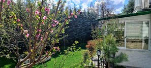 A garden with flowering trees, a lawn, and a building with a window.