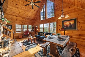 Smart TV, fireplace, books