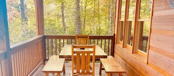 BLACK BEARS CROSSING: PET FRIENDLY, COZY CABIN WITH HOT TUB IN BLUE RIDGE, GA