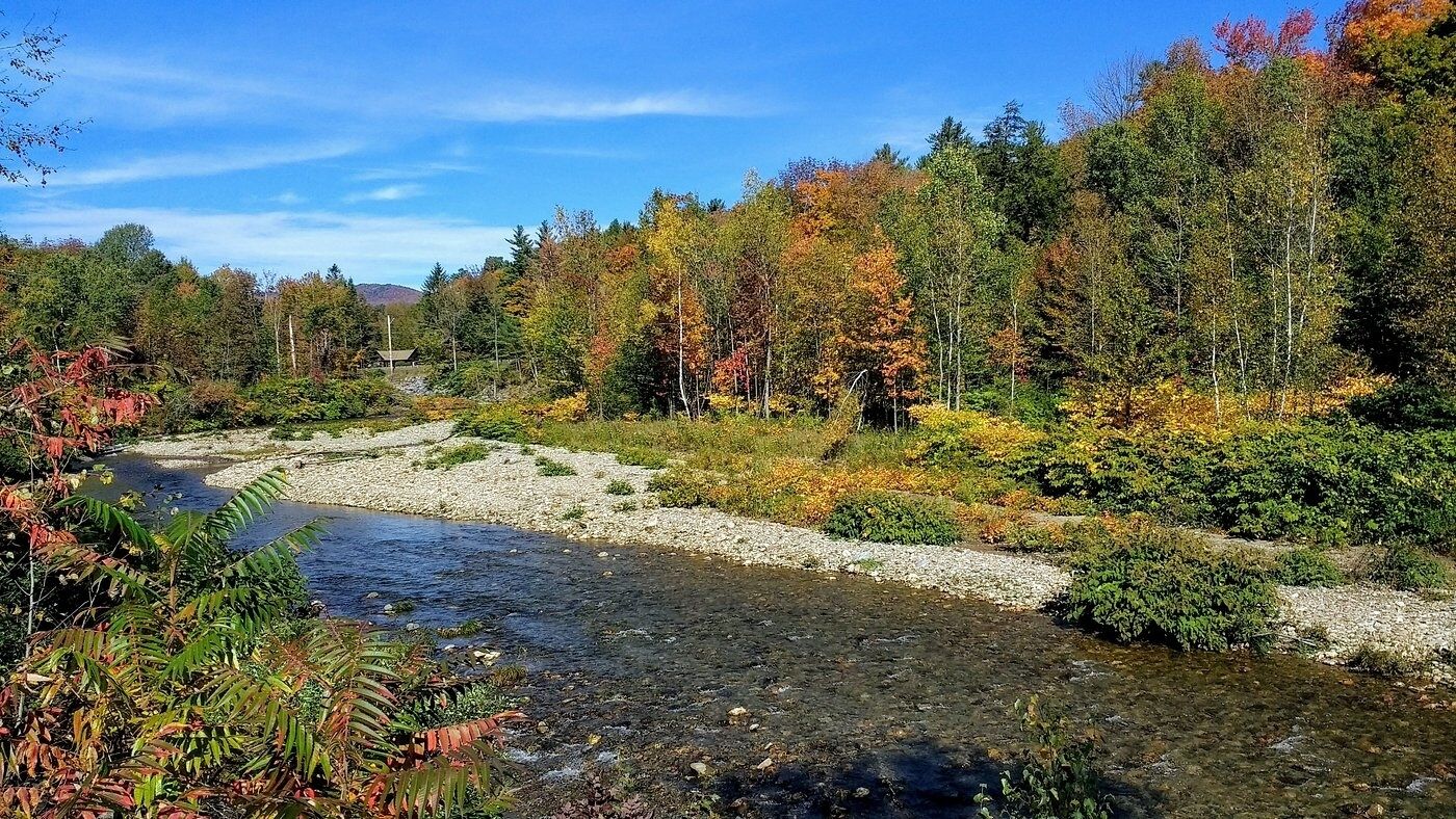 Un río serpenteando por un bosque con follaje otoñal.