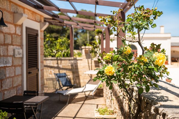 Terraza o patio