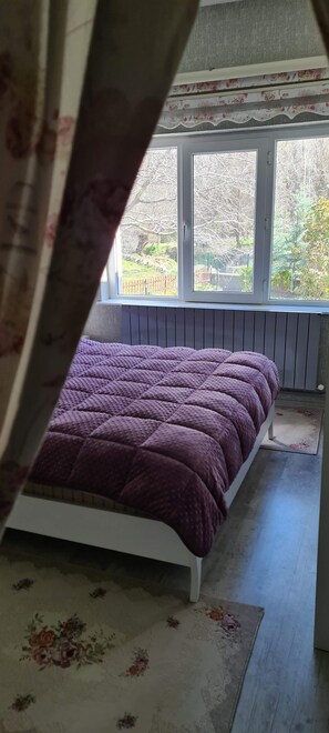 In-room safe, desk, iron/ironing board, free WiFi