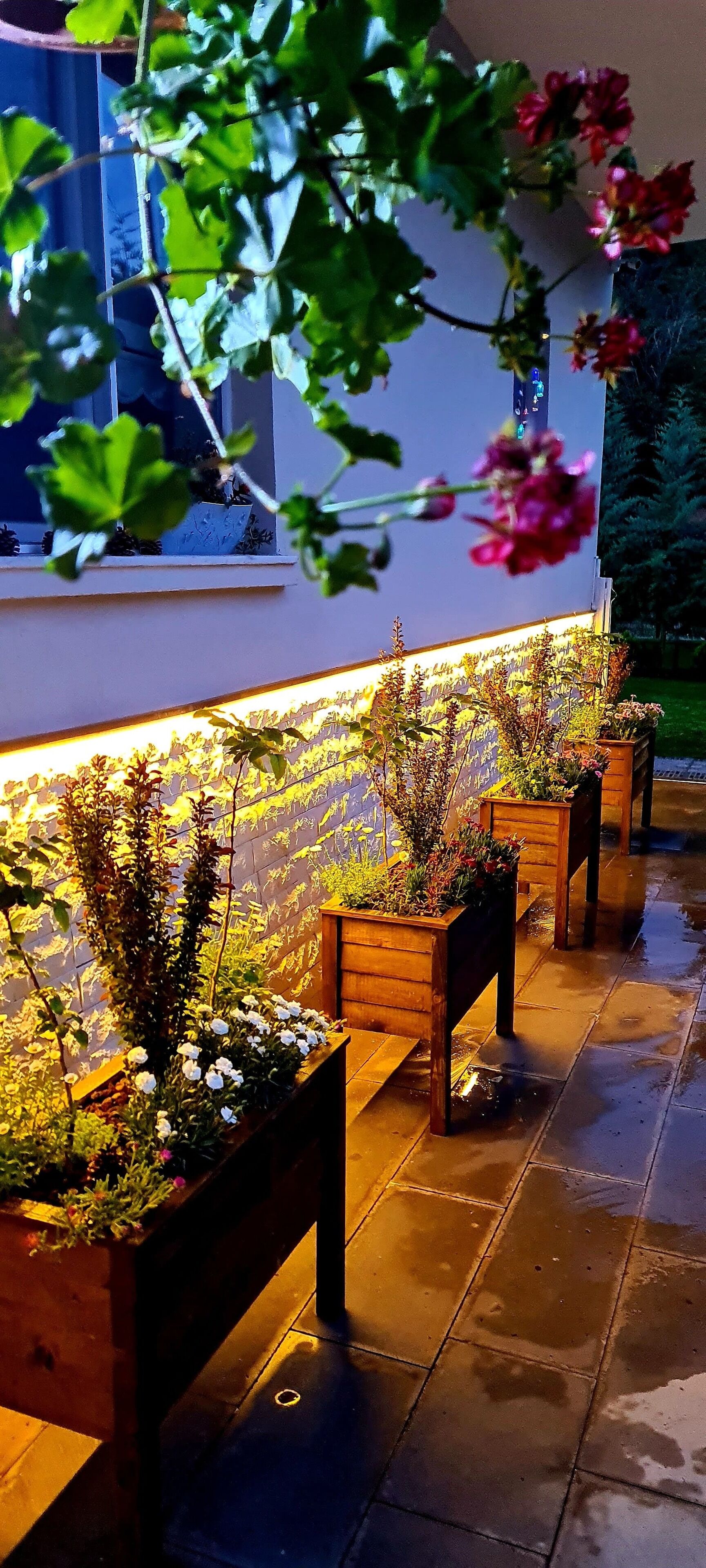 Àrea exterior de l'allotjament