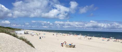 House | View from property