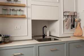Fridge, oven, stovetop, cookware/dishes/utensils