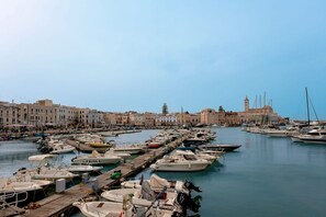 Un puerto deportivo con barcos amarrados, un paseo marítimo y edificios históricos al fondo.