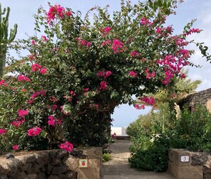 Terrein van de accommodatie