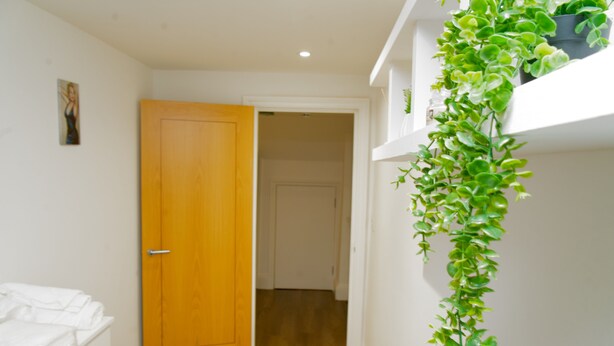 A narrow hallway with a wooden door, a white wall, and a green plant hanging on the right. - 2BR Near Crouch Hill, Camden & Emirates Stadium (London)