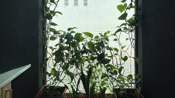 Gemeenschappelijke keuken