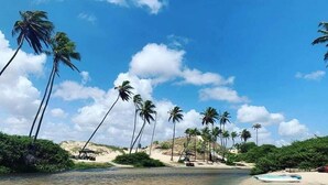 Una spiaggia con acqua cristallina, palme e una battigia sabbiosa.