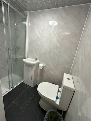 Shower, towels, toilet paper