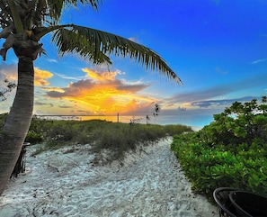 A beach path with a palm tree, sandy dunes, and a sunset.