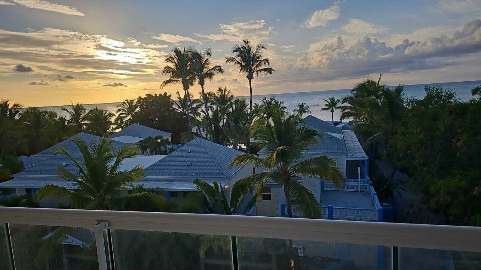 A residential area with houses and palm trees, overlooking a body of water.