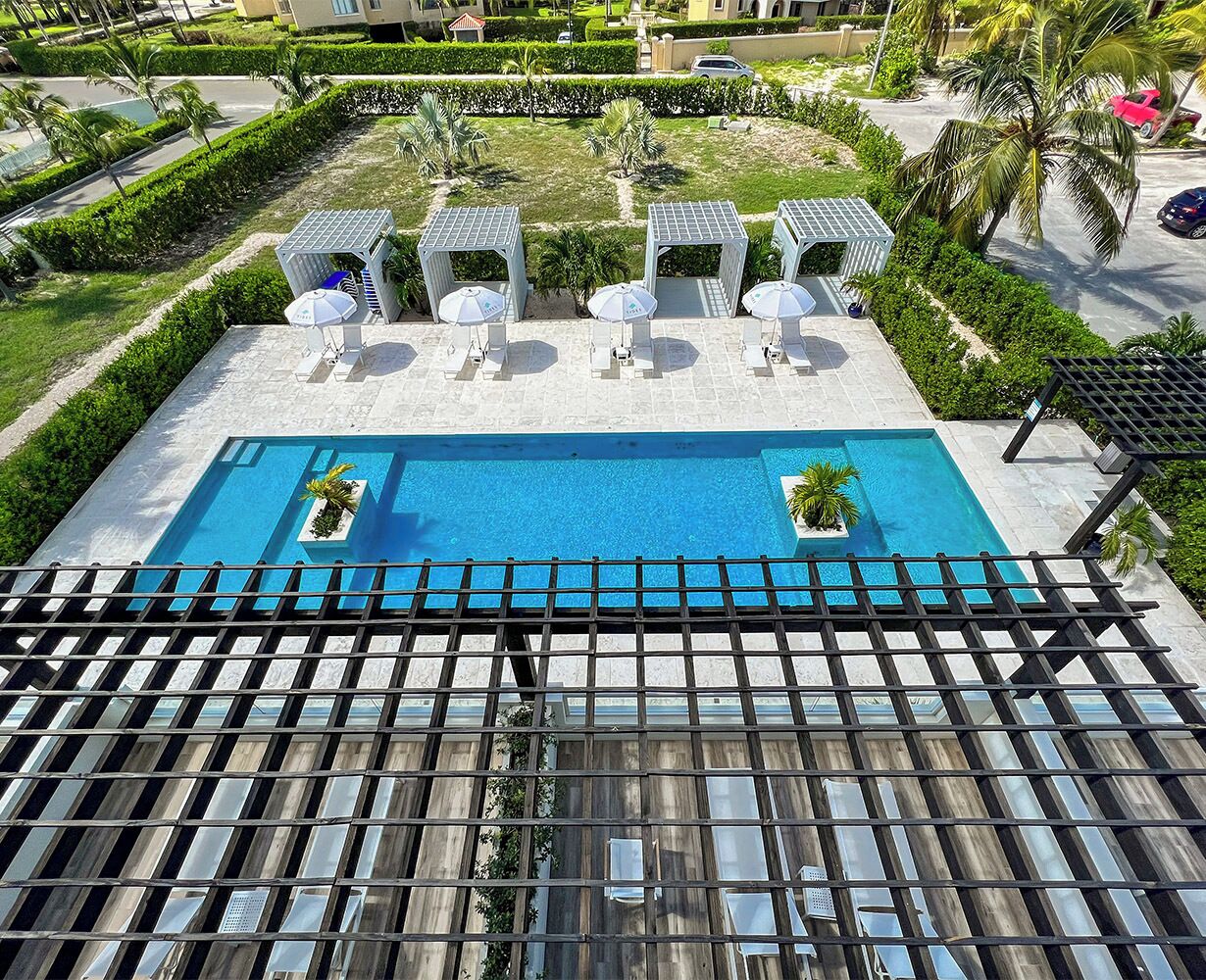A rooftop pool with lounge chairs and umbrellas, surrounded by greenery and a clear blue sky.