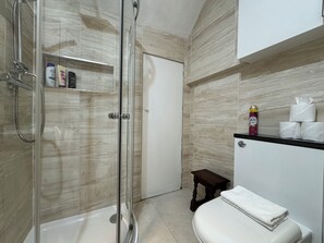 A bathroom with a glass-enclosed shower, a toilet, and a shelf with toiletries.