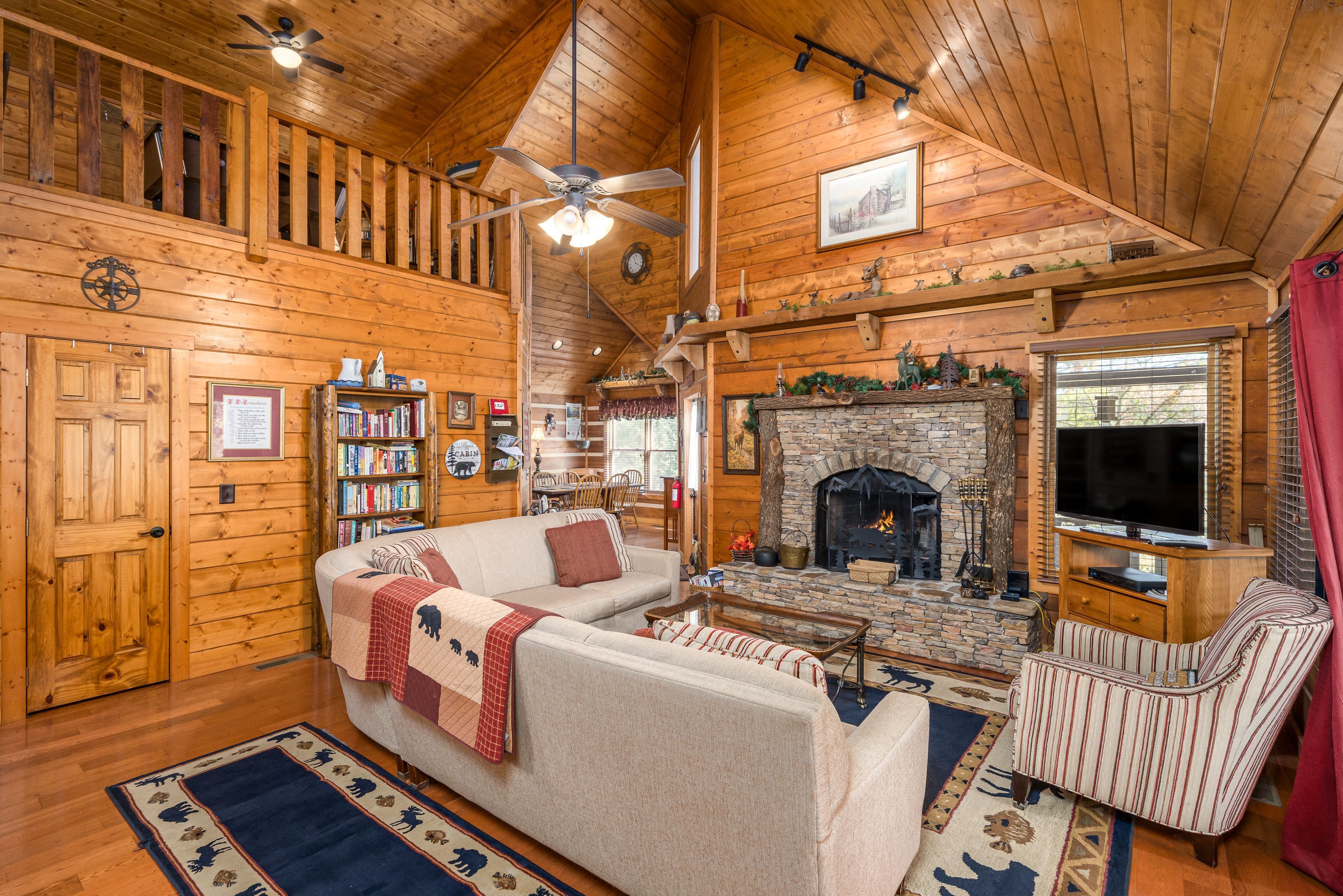 TV, fireplace, books