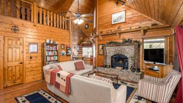 TV, fireplace, books
