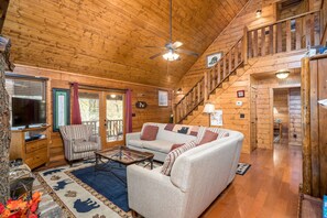 TV, fireplace, books