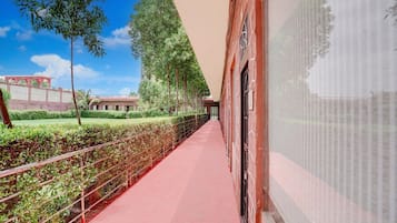House | Property grounds