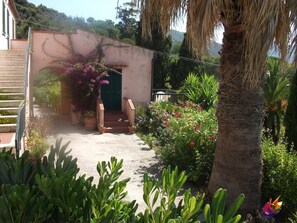 Un jardín con una escalera que lleva a una puerta, rodeado de diversas plantas y una palmera.
