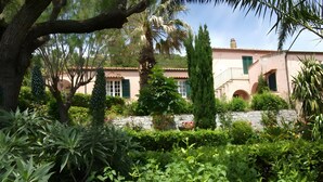 Un jardín con diversas plantas y un edificio con muro de piedra y ventanas de arco.