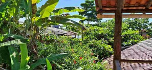 Monolocale Superior, 1 letto matrimoniale, vista giardino | Vista dalla camera