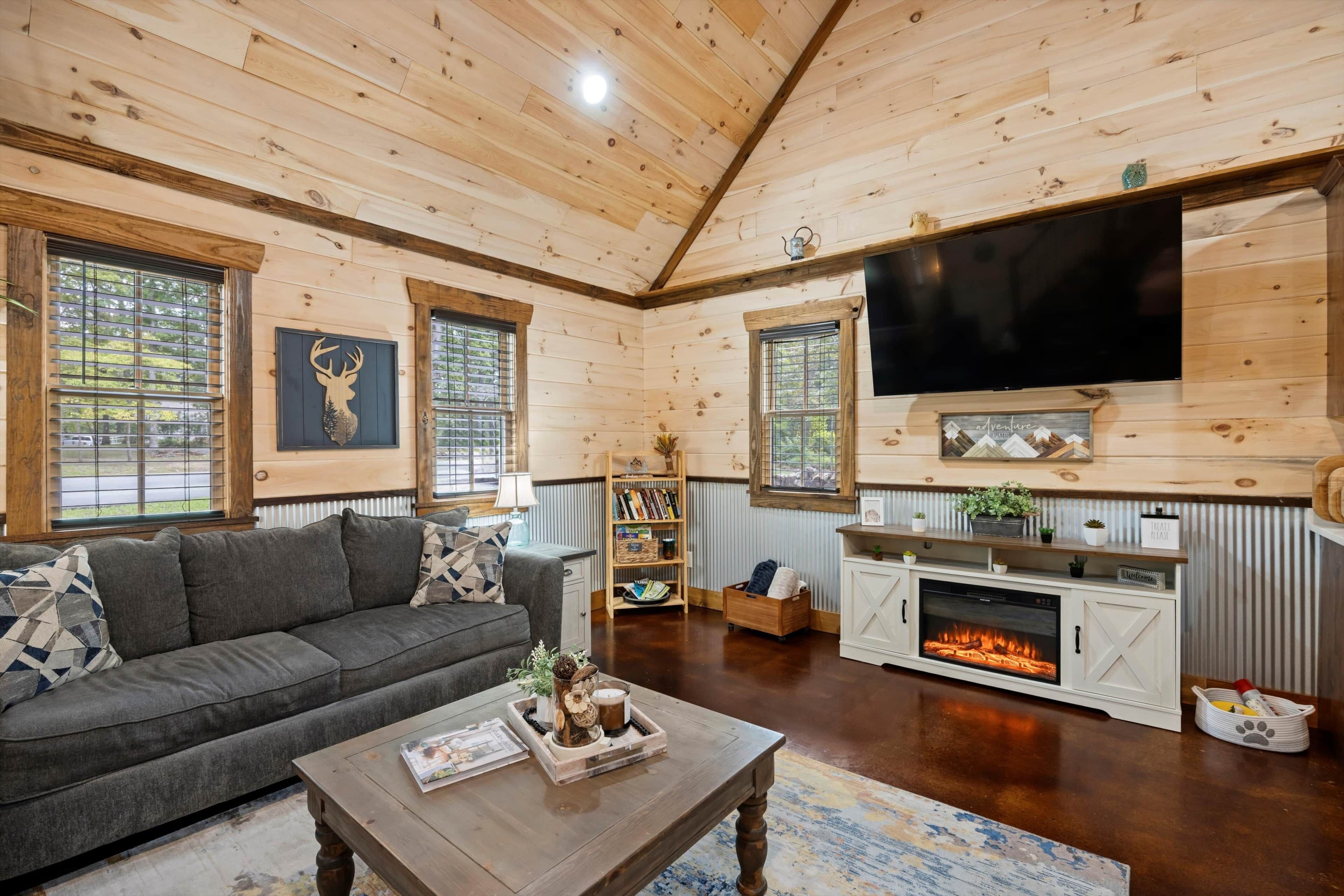 TV connectée, cheminée, livres