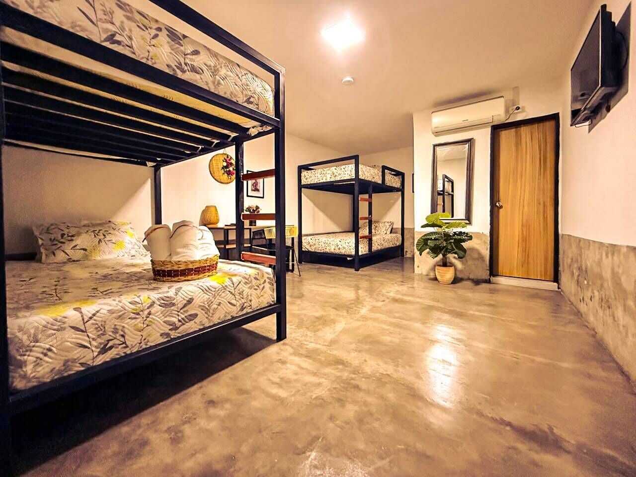 Een kamer met stapelbedden, een houten deur, een aan de muur bevestigde televisie en een kamerplant.