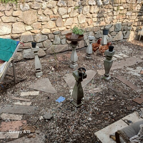 Vacation accommodation in the woods. a bike and fresh eggs available. mon _ fri no wd