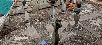 Vacation accommodation in the woods. a bike and fresh eggs available. mon _ fri no wd