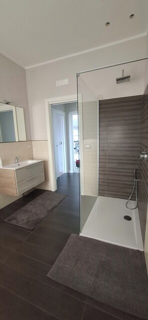 Shower, hair dryer, bidet, towels