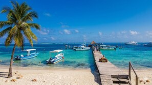 A beach with a wooden pier leading to boats, a palm tree, and clear blue water.