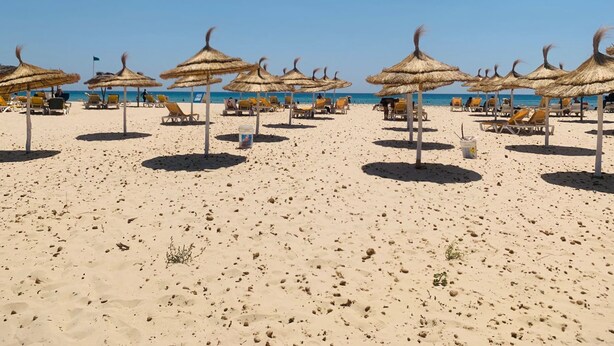 Una playa con filas de tumbonas y sombrillas de paja.
