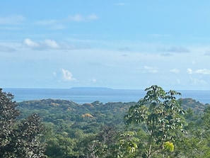 Imagen general