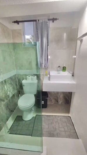 Regadera, toallas, jabón, papel de baño