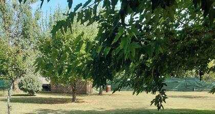 Single-storey residential house overlooking shady park.
