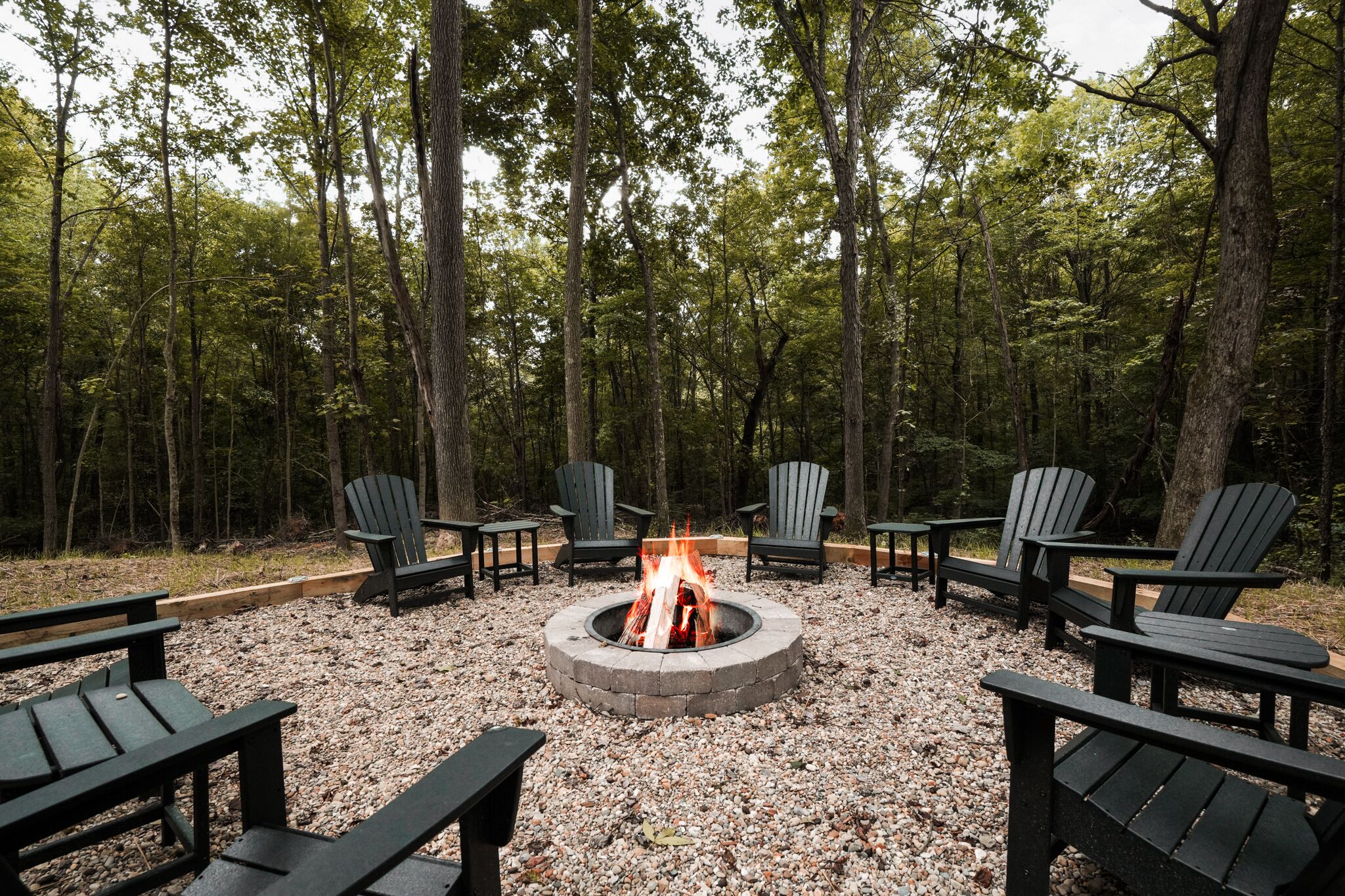 A circular fire pit surrounded by six Adirondack chairs in a forested area.