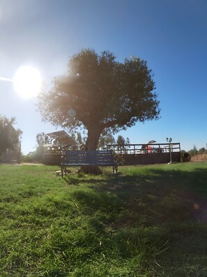 Overnatningsstedets område