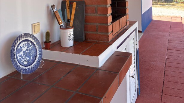 A brick oven with a white and blue exterior, a tiled floor, and a potted cactus.