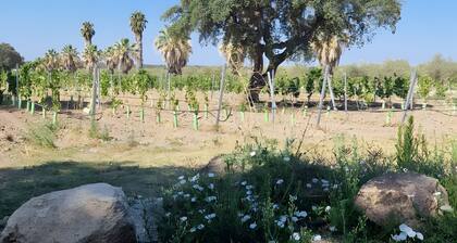 Country House 'Herdade Do Corval' with Mountain View, Wi-Fi and Air Conditioning
