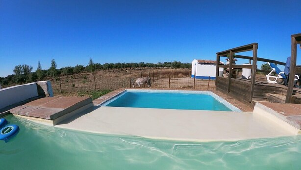 Una piscina con muelle de madera y un edificio blanco al fondo.