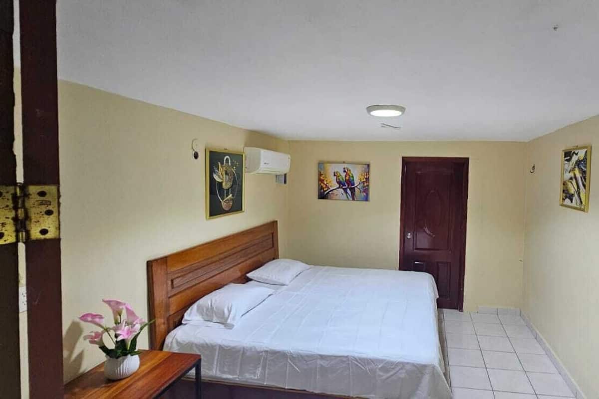 Economy Room, 1 King Bed