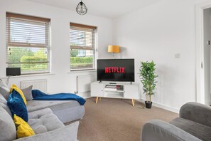 Fernseher, Arbeitsbereiche